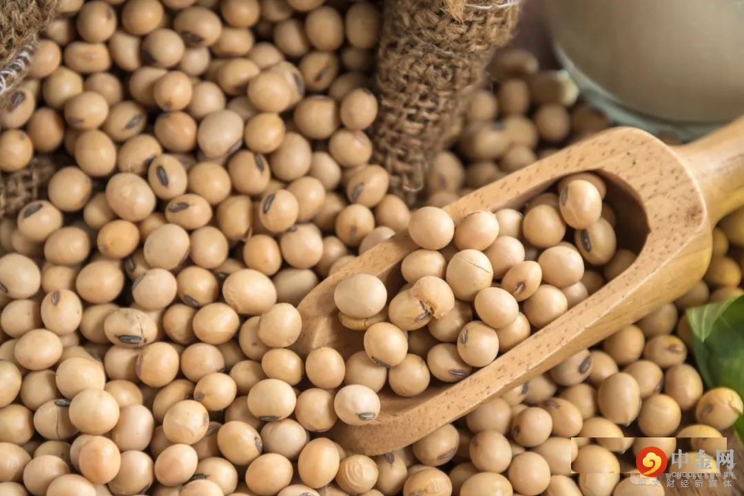 FXR_ba8032b862b84e8097ad22dd4790f1bc.jpg FXR_ba8032b862b84e8097ad22dd4790f1bc.jpg