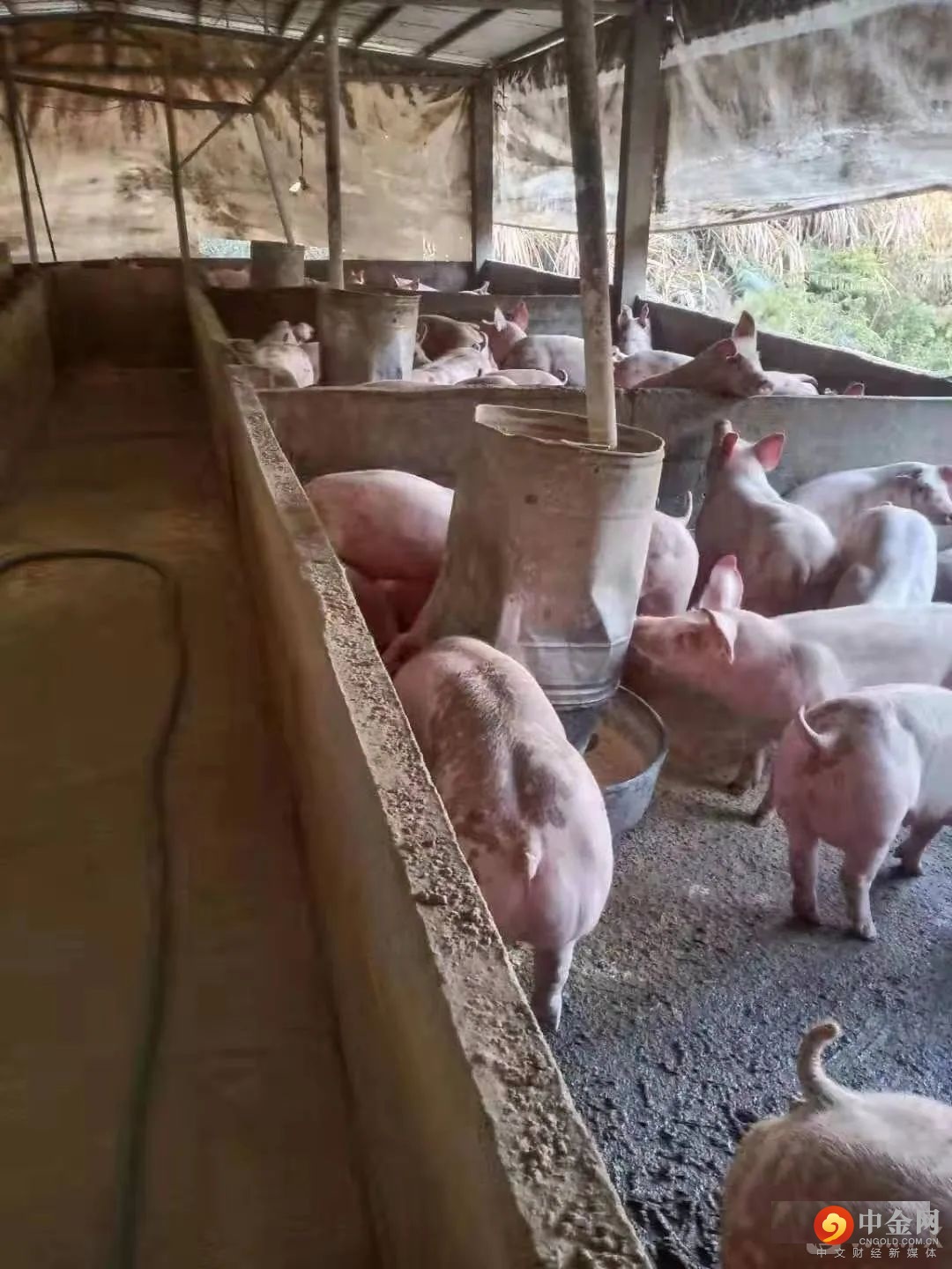 FXR_afb41ab56c024fd3ada9d8b044a57d97.jpg FXR_afb41ab56c024fd3ada9d8b044a57d97.jpg