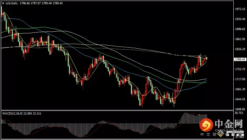 汉声张新才:[12月12日早评]上周黄金获得四日连涨，金价最高触及1805美元