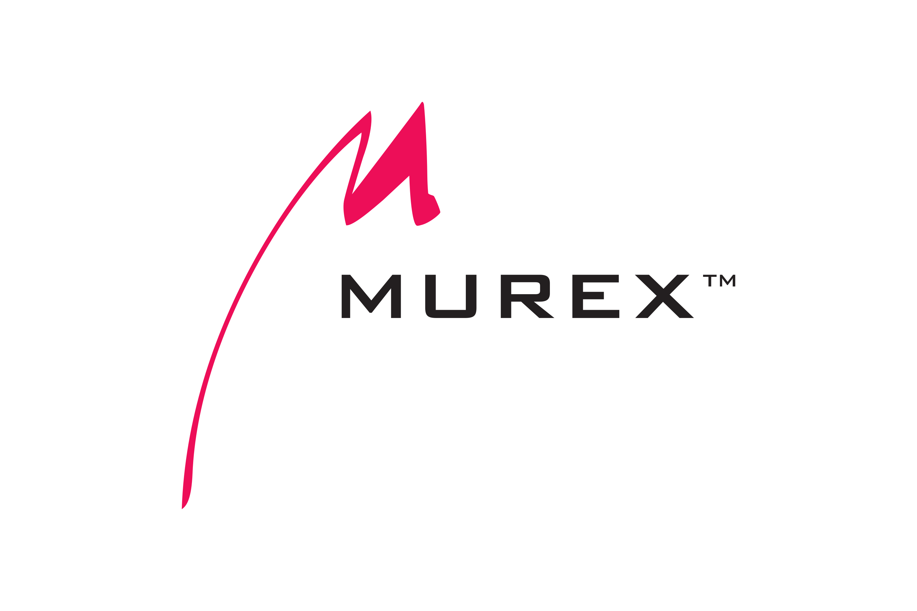 Murex_(financial_software)-Logo.wine.png Murex_(financial_software)-Logo.wine.png