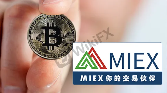MIEX米汇_比特币-2.png MIEX米汇_比特币-2.png