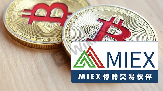 MIEX米汇_比特币-5.png MIEX米汇_比特币-5.png