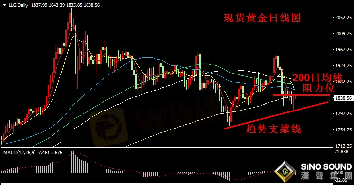 1611027533419049.png 圖片1.png