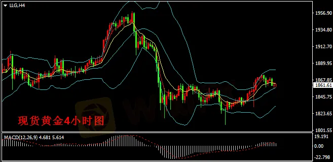 图片4.png 图片4.png