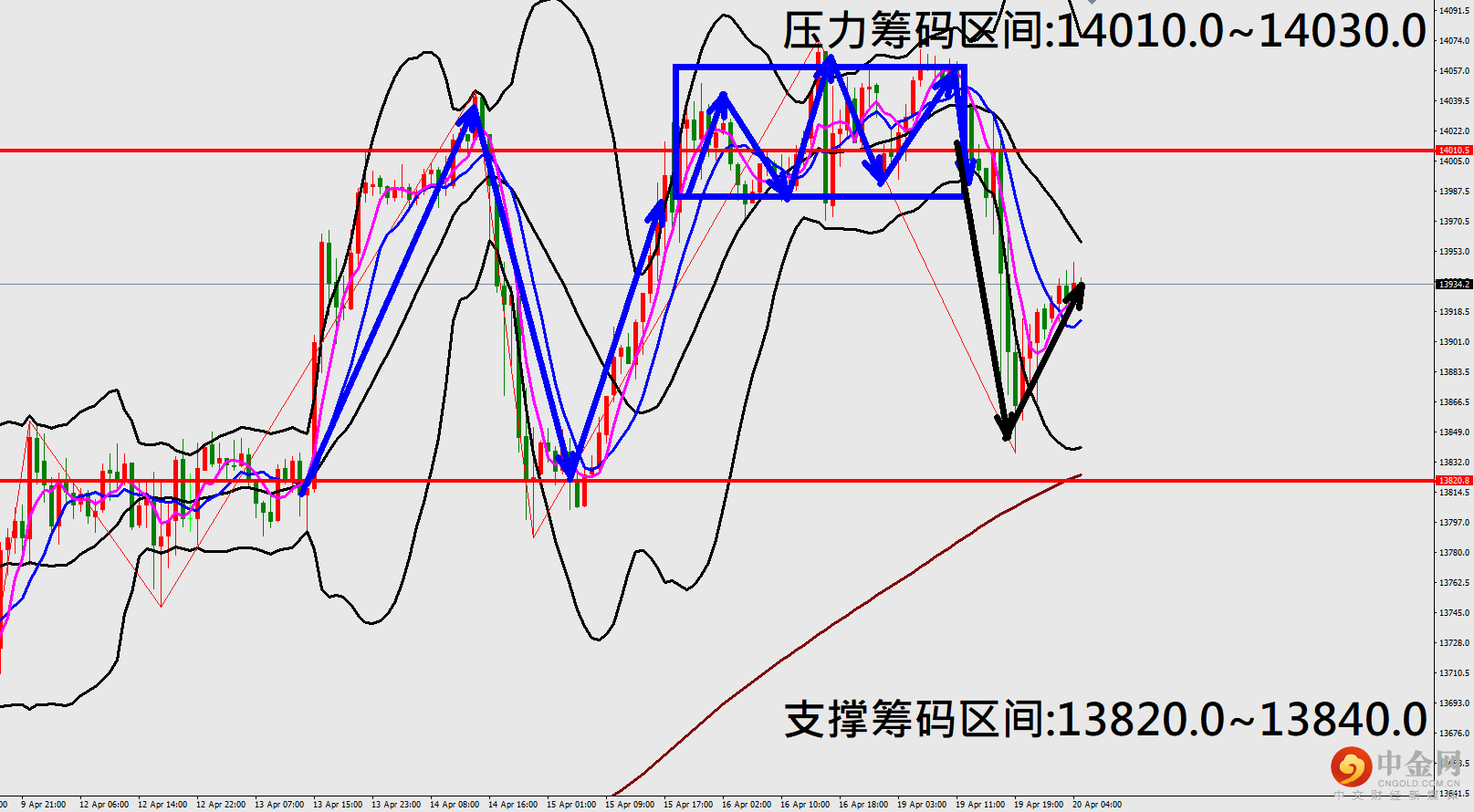 纳斯.png