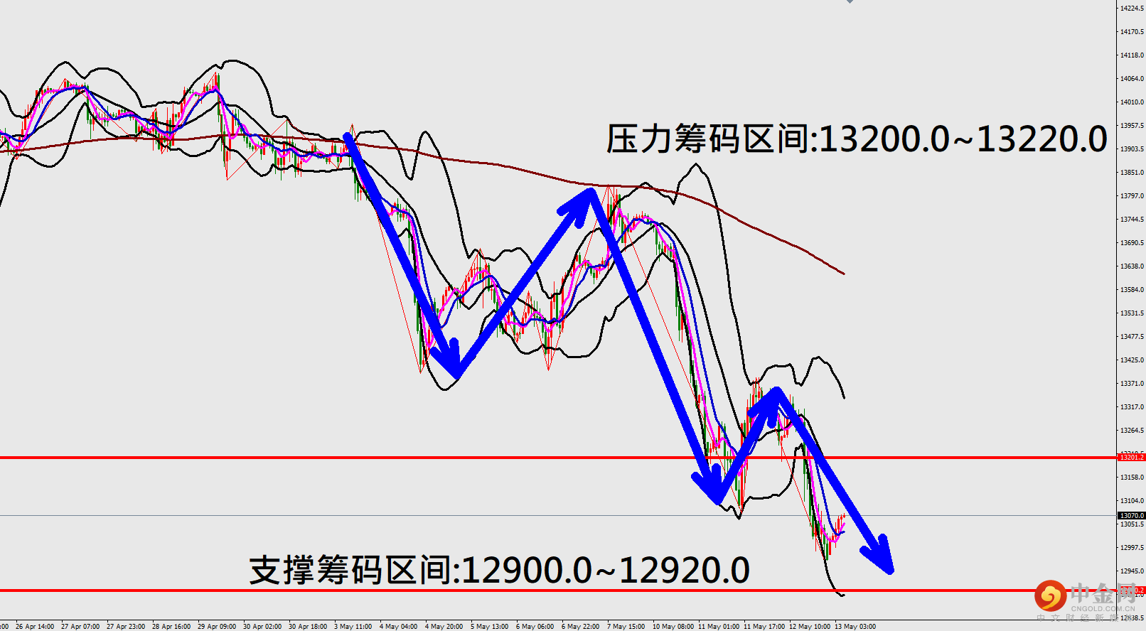 纳斯.png