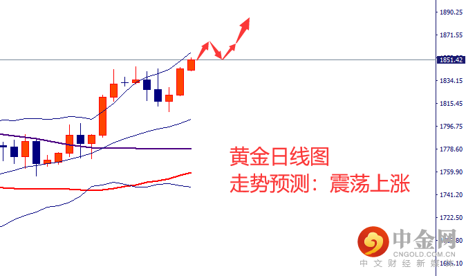 6-黄金.png