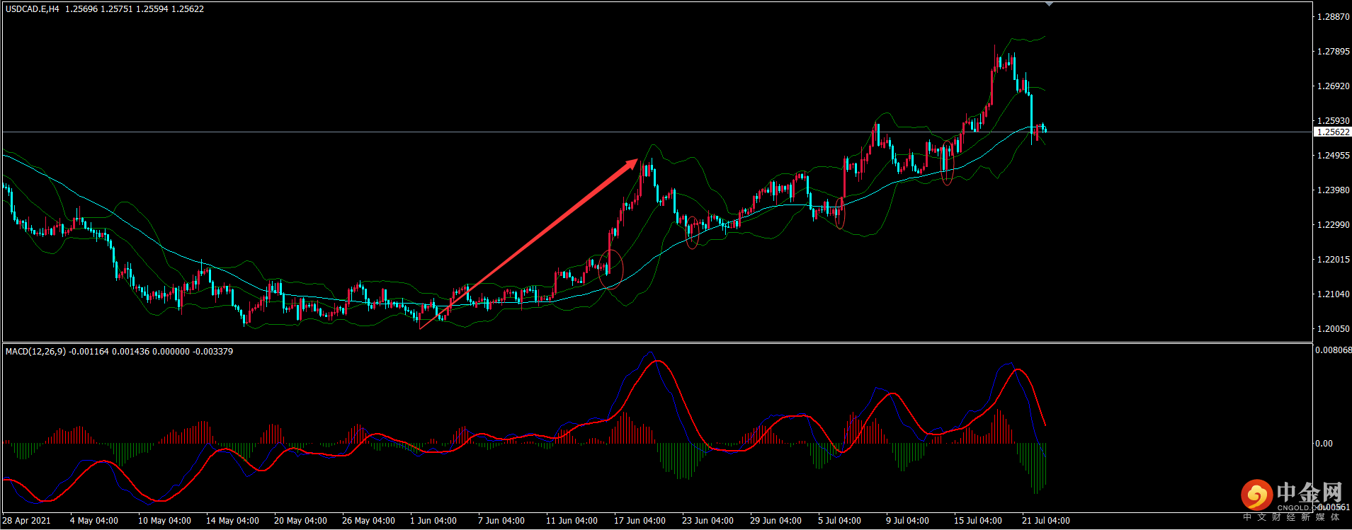 图片3.png 图片3.png