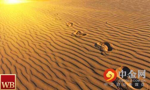 6497117d86974c10abacbdc89cc29cef.jpeg 6497117d86974c10abacbdc89cc29cef.jpeg