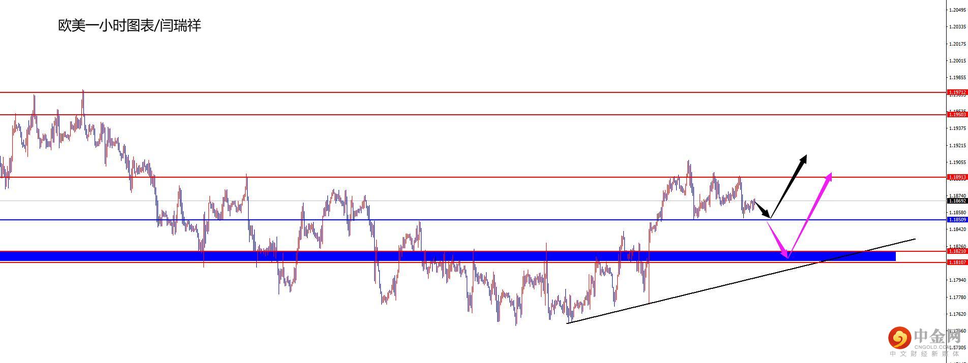 1628046265934022.jpg 欧美.jpg