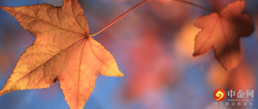 默认标题_公众号封面首图_2021-08-18 