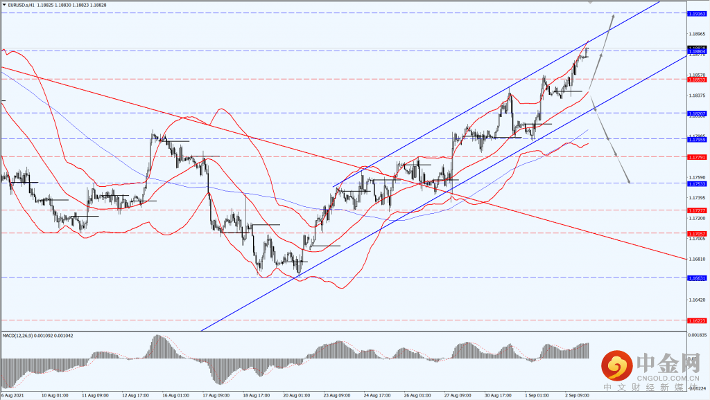 1_每日汇评.png 1_每日汇评.png