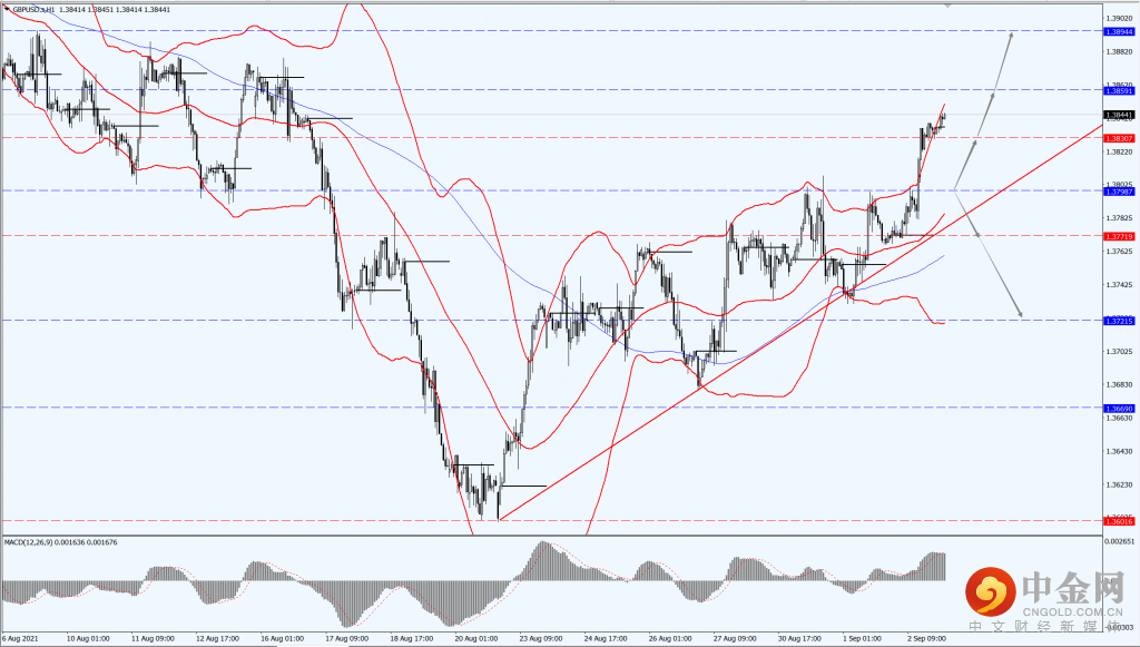 2_每日汇评.png 2_每日汇评.png