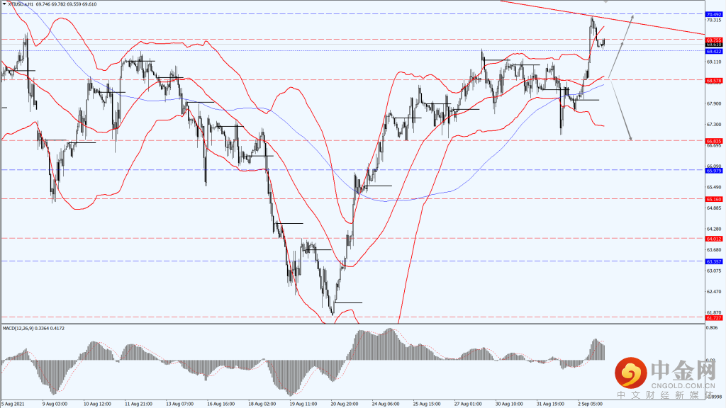 4_每日汇评.png 4_每日汇评.png