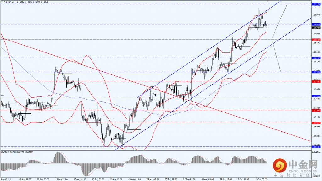 1_每日汇评.png 1_每日汇评.png