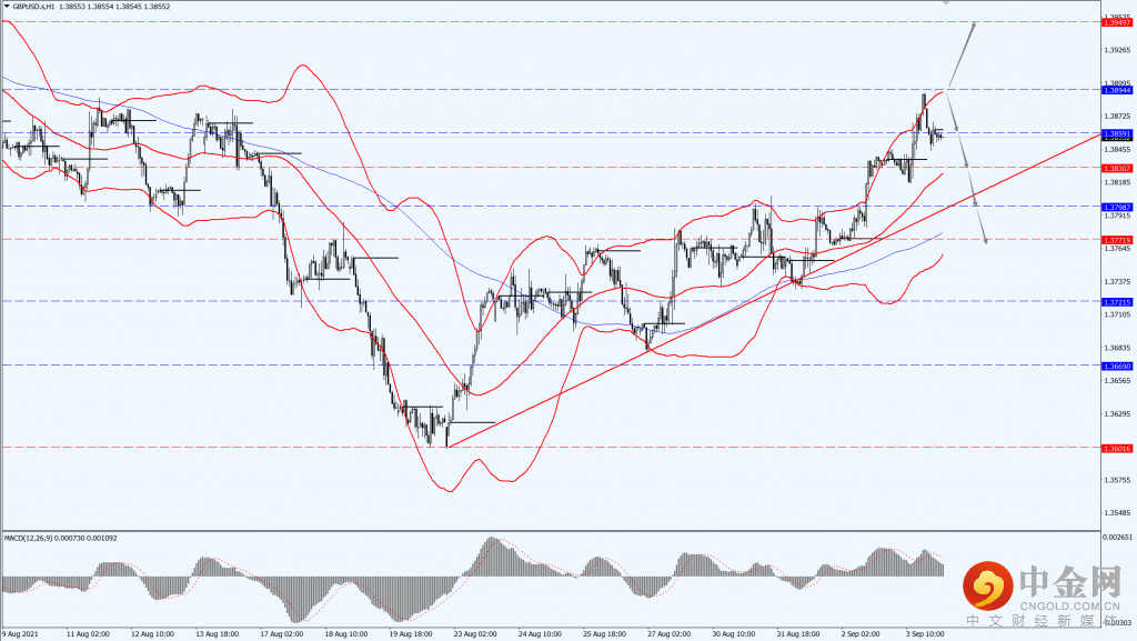 2_每日汇评.png 2_每日汇评.png