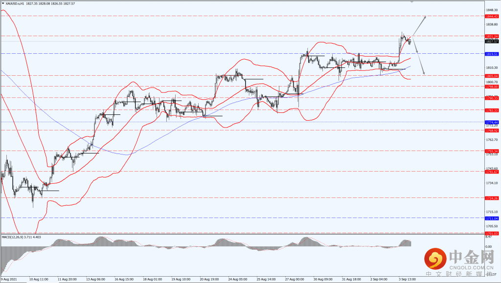 3_每日汇评.png 3_每日汇评.png