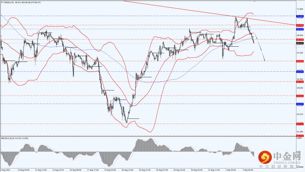 4_每日汇评.png 4_每日汇评.png