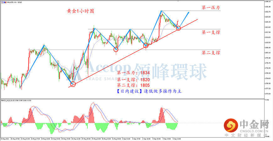 领峰环球-黄金走势图 领峰环球-黄金走势图