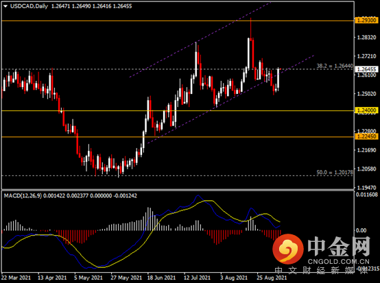 20210908-7.png 20210908-7.png