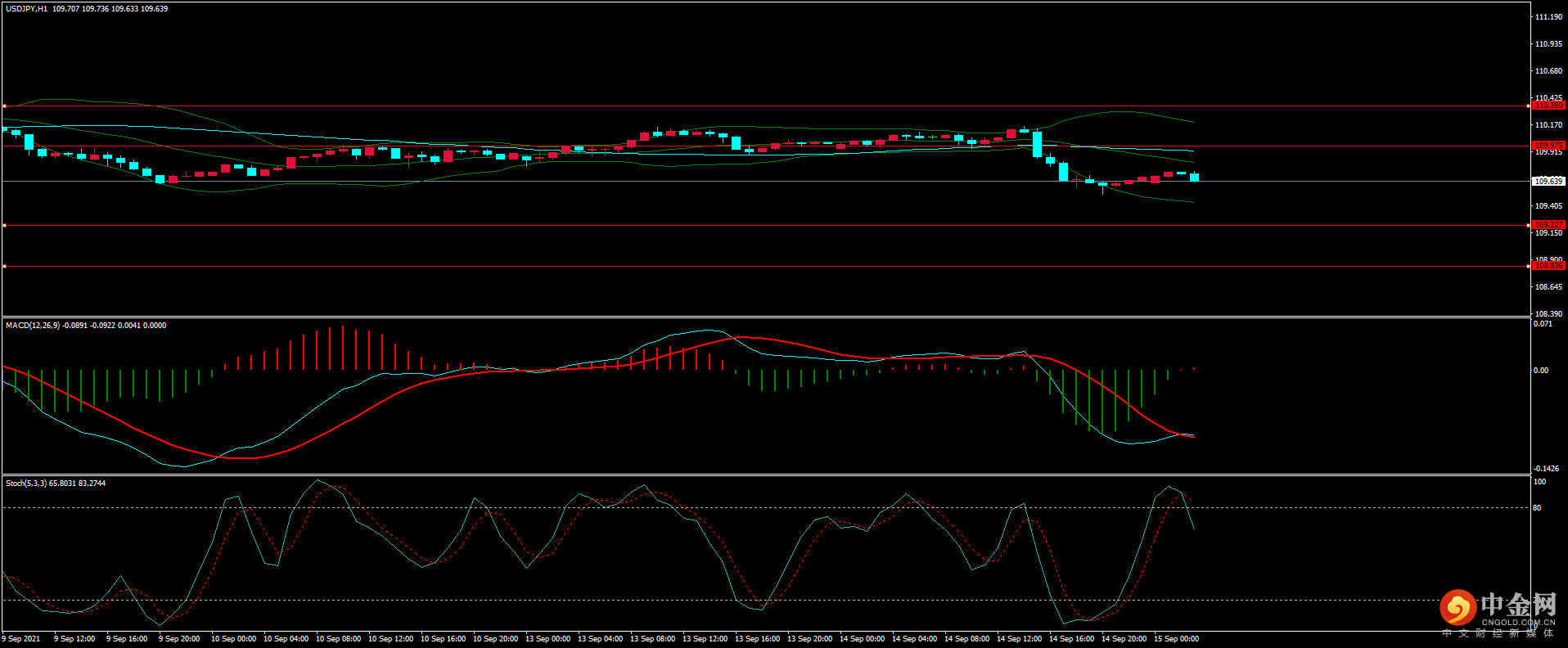 图片3.png 图片3.png