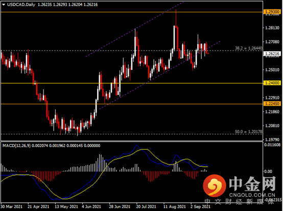 20210916-7.png 20210916-7.png