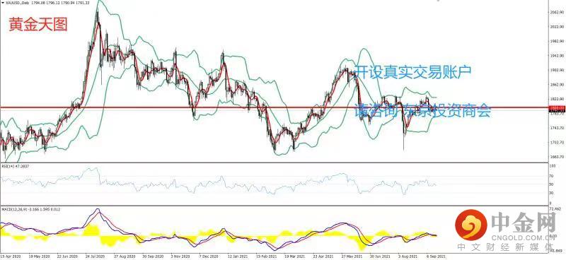 1631772397213952.jpeg 黄金.jpg