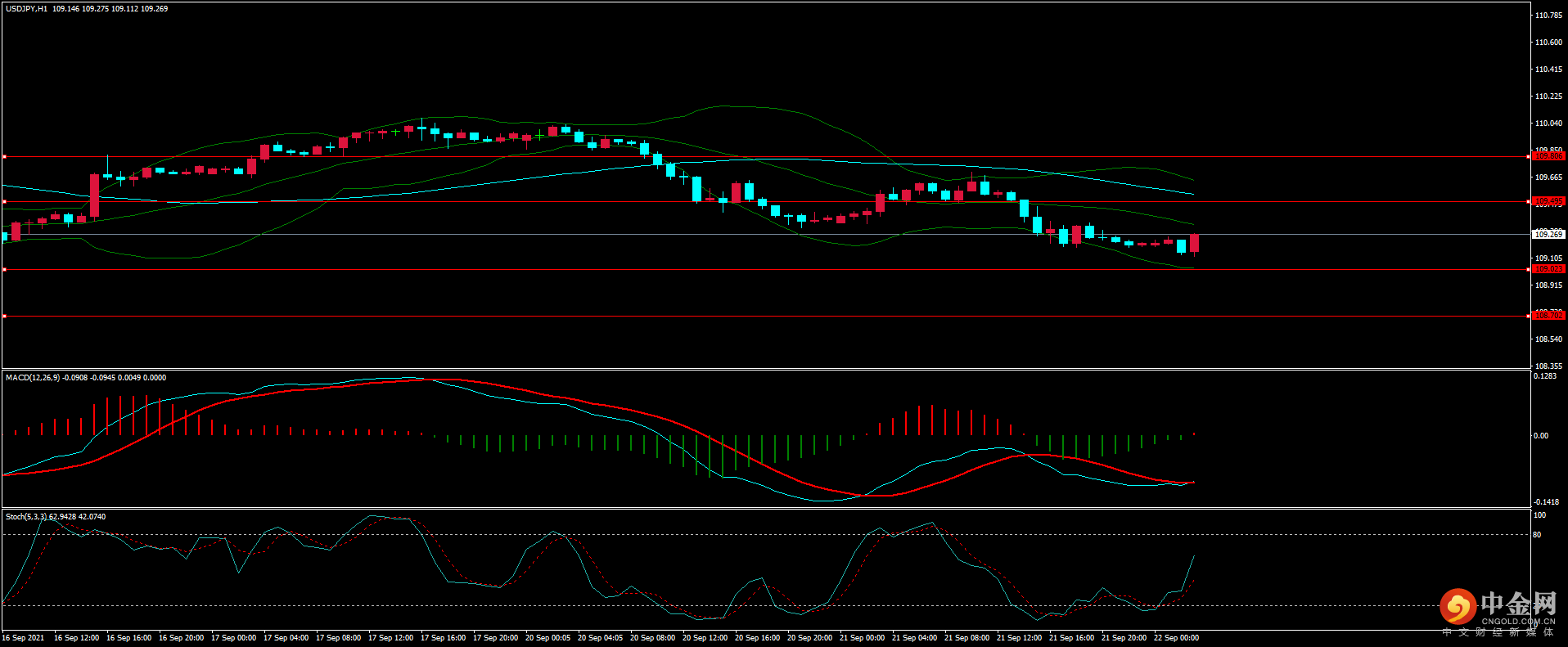 图片3.png 图片3.png