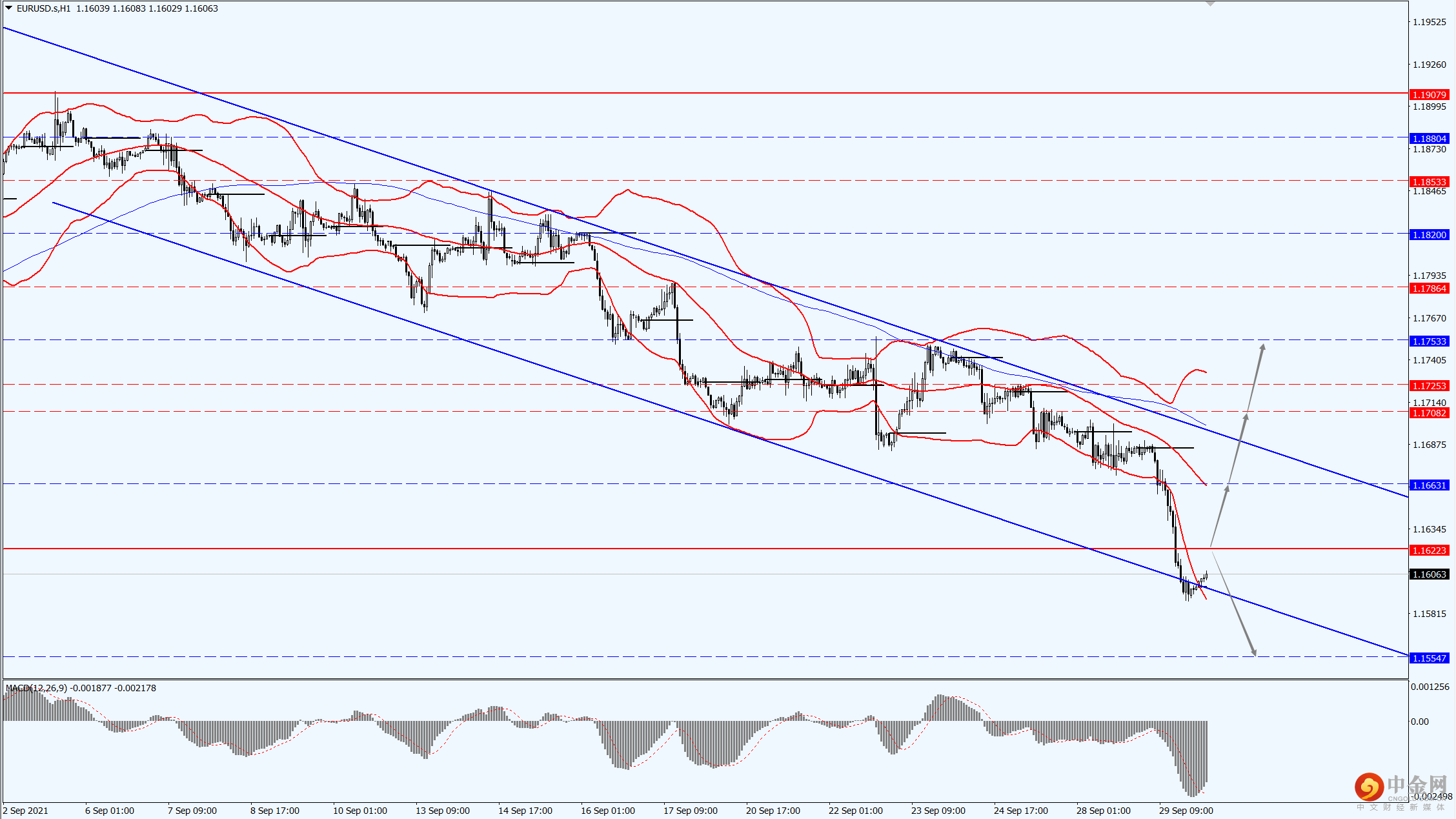 1_每日汇评.png 1_每日汇评.png