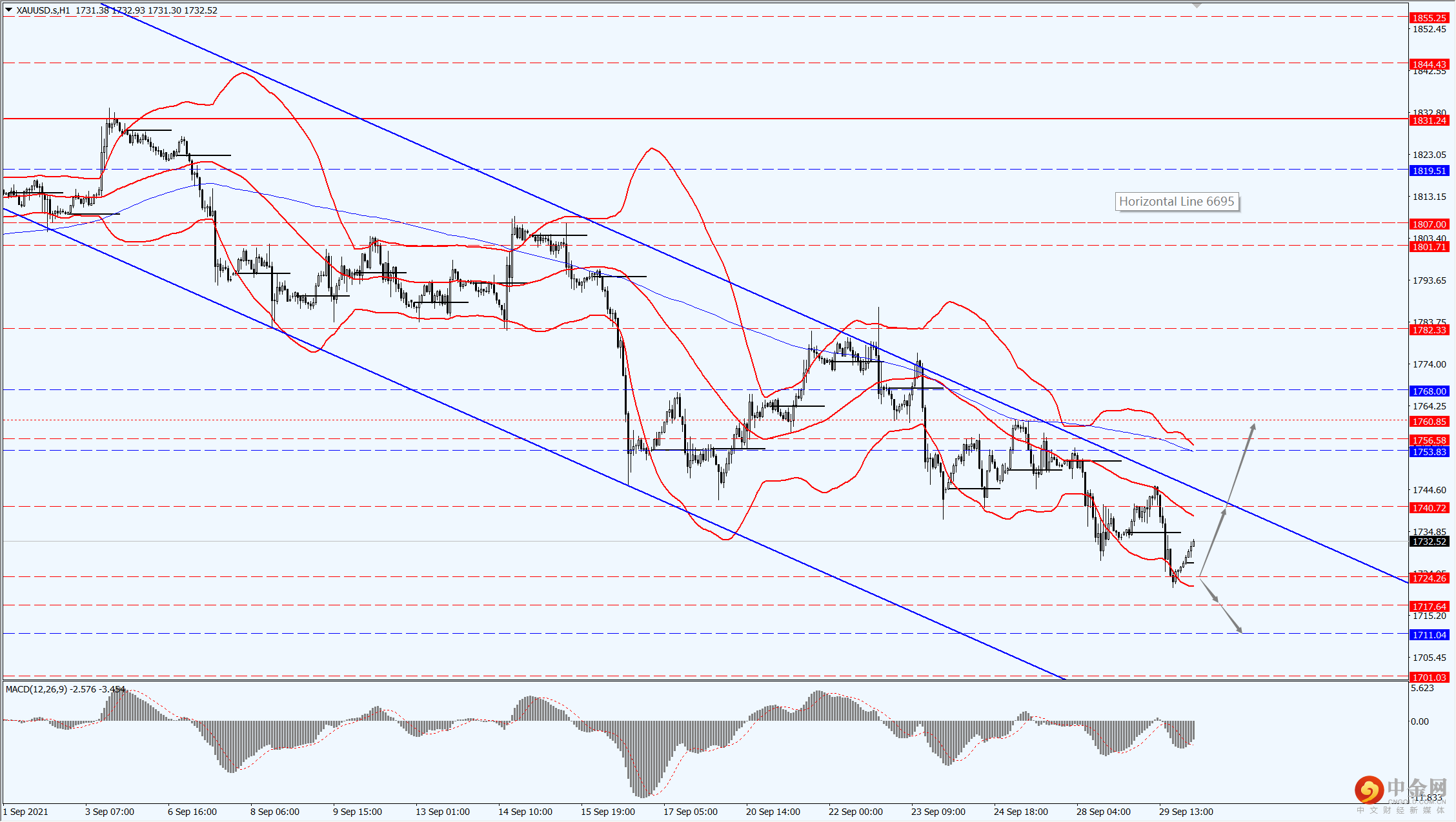 3_每日汇评.png 3_每日汇评.png