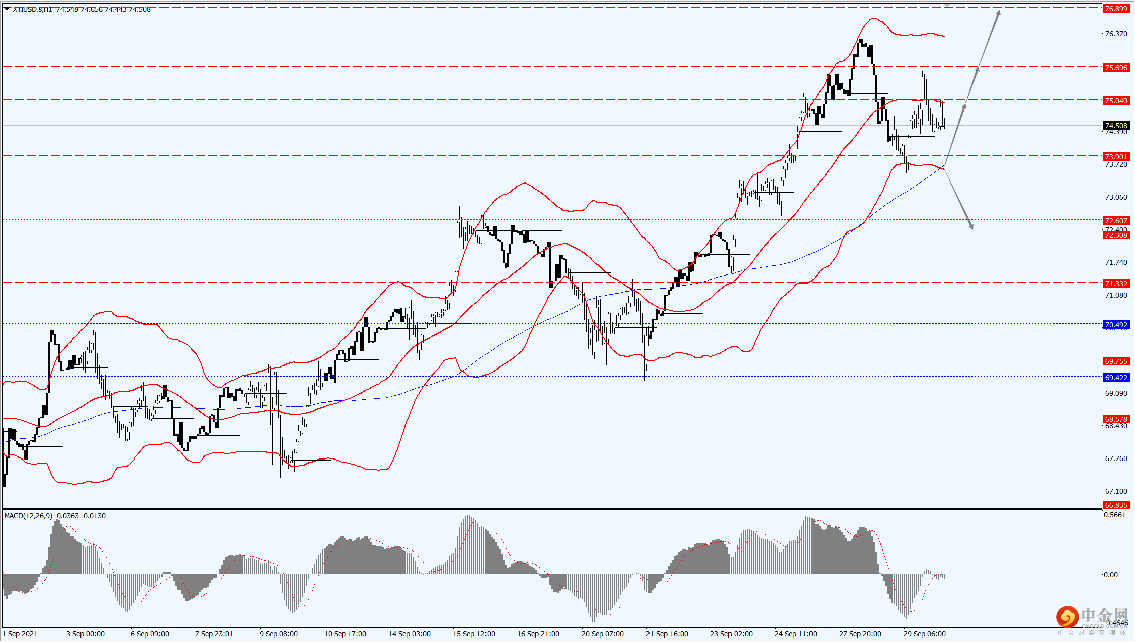 4_每日汇评.png 4_每日汇评.png