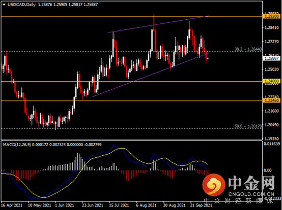 20211005-7.png 20211005-7.png