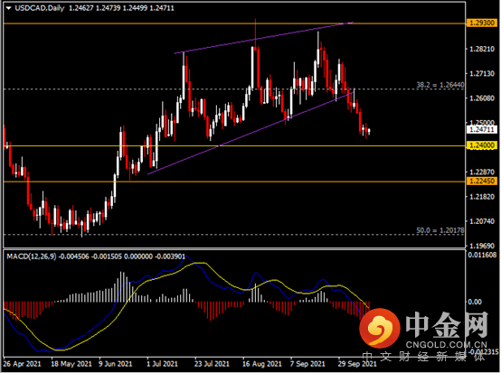 20211013-7.png 20211013-7.png