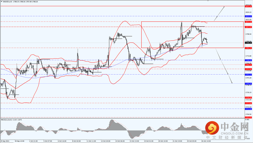 3_每日汇评.png 3_每日汇评.png