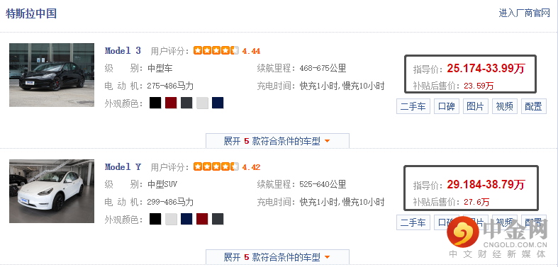 中国版的特斯拉 