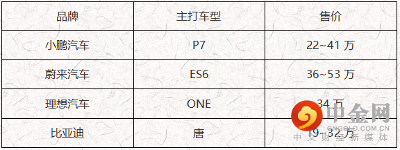 中国版的特斯拉 