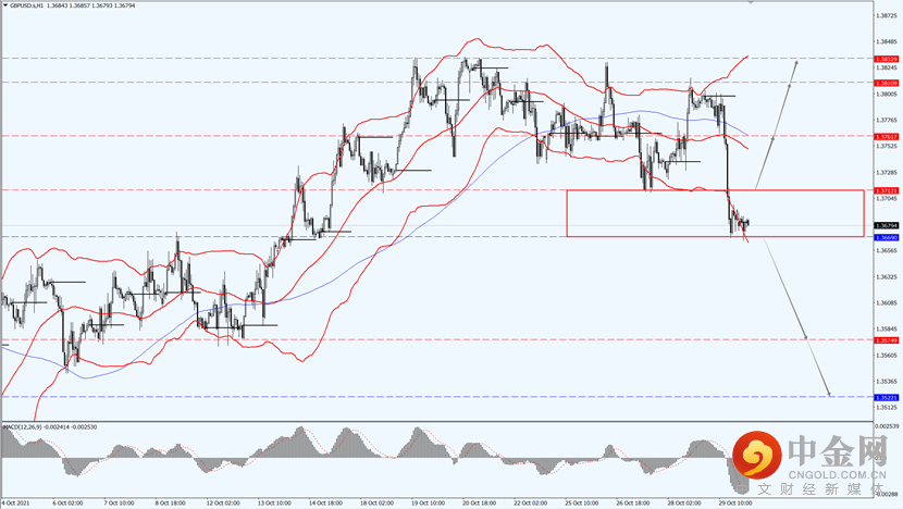 2_每日汇评.png 2_每日汇评.png