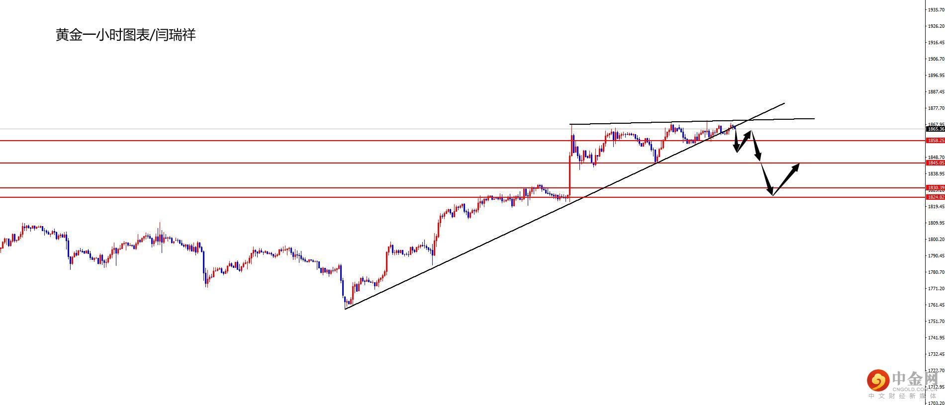 1637045676545761.jpg 黄金.jpg