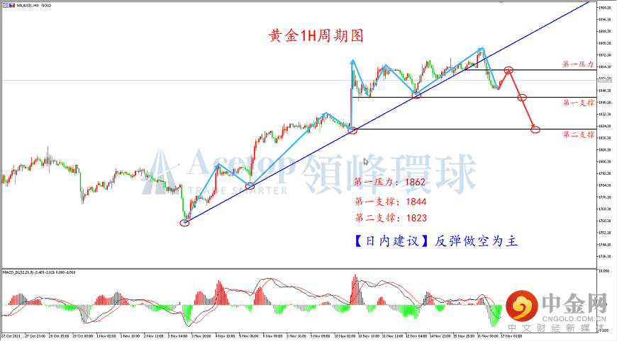 领峰环球-黄金走势图 领峰环球-黄金走势图