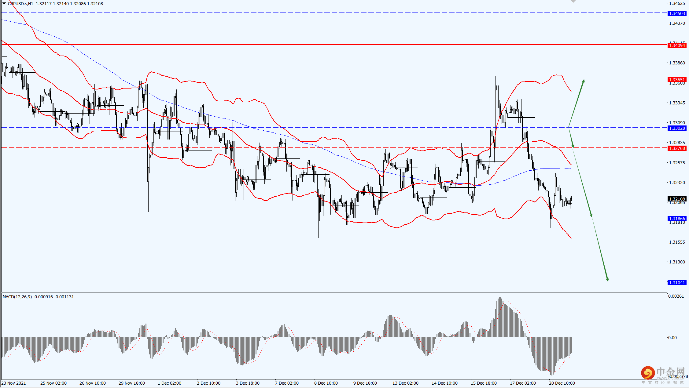 2_每日汇评.png
