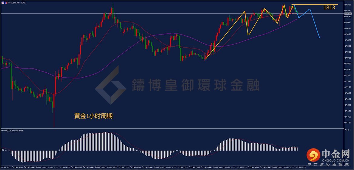 铸博皇御环球 铸博皇御环球