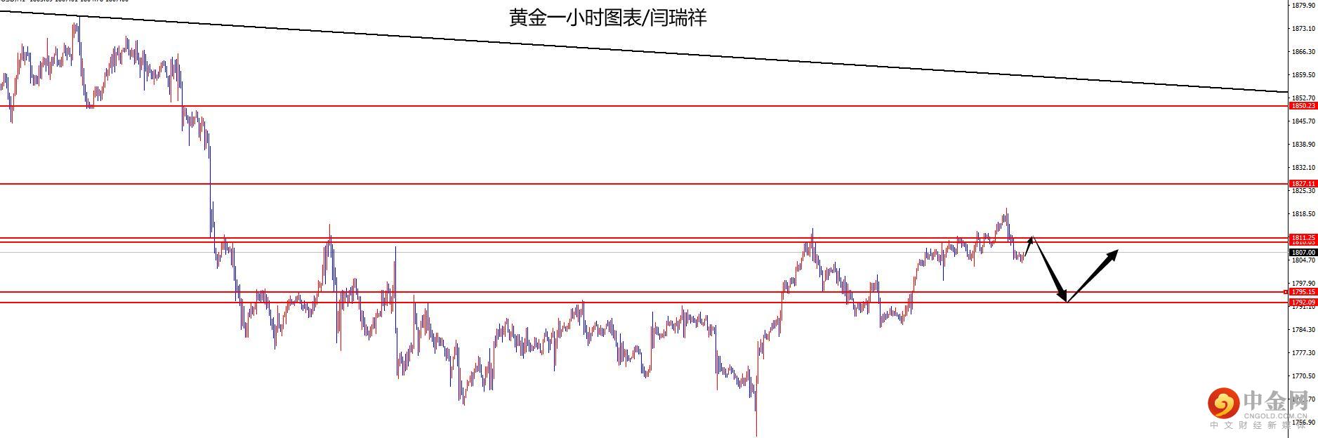 黄金.jpg