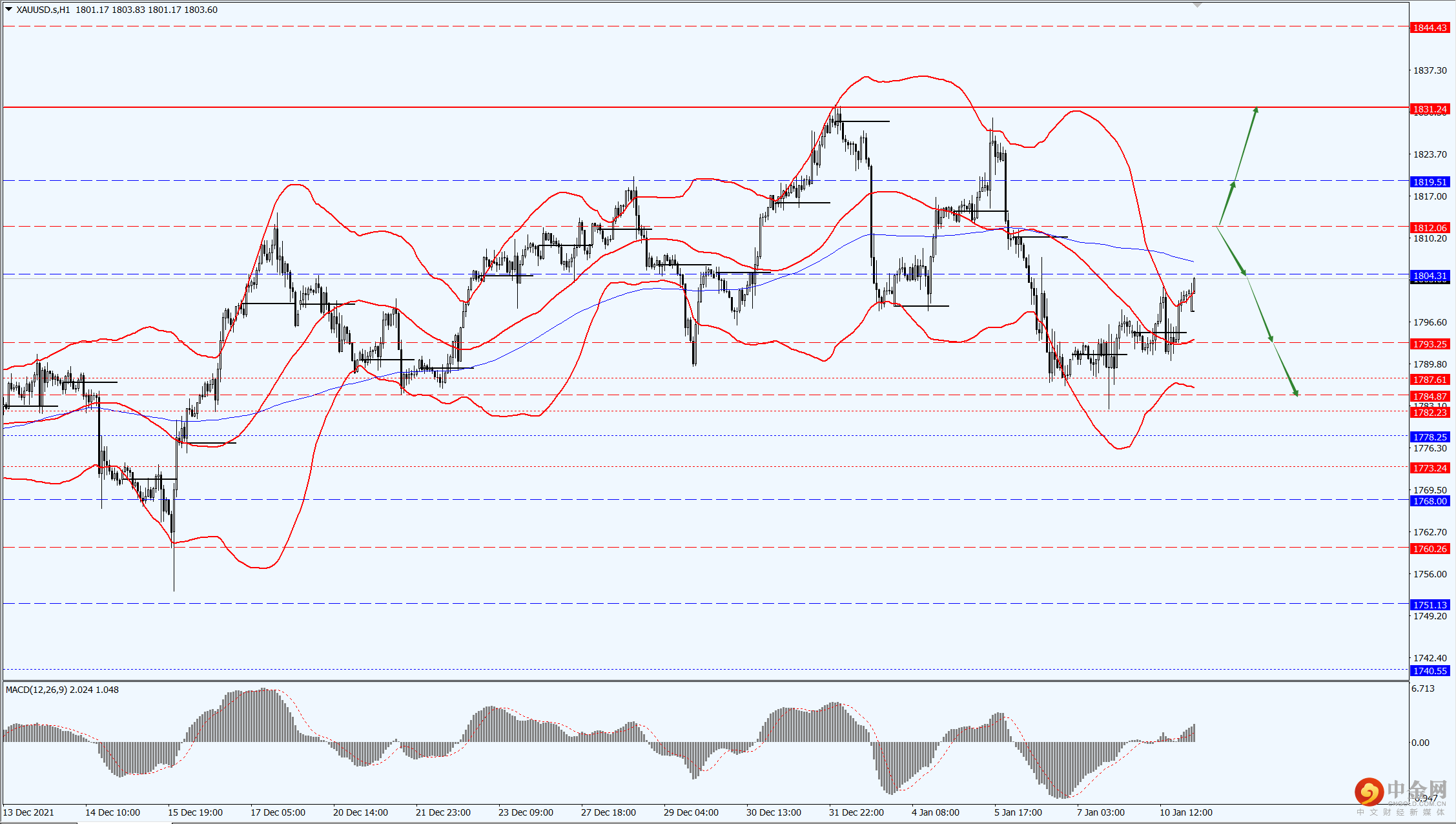 3_每日汇评.png 3_每日汇评.png