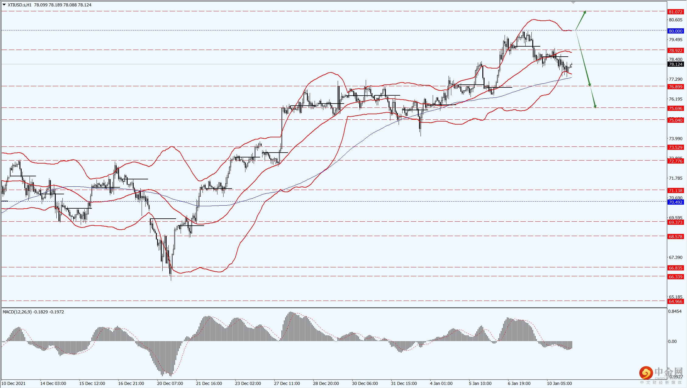 4_每日汇评.png 4_每日汇评.png