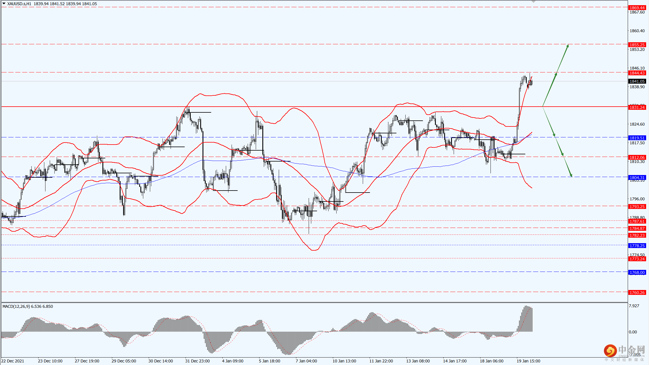 3_每日汇评.png 3_每日汇评.png