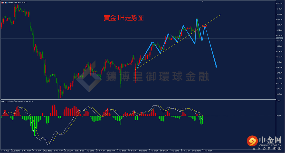 皇御环球 皇御环球