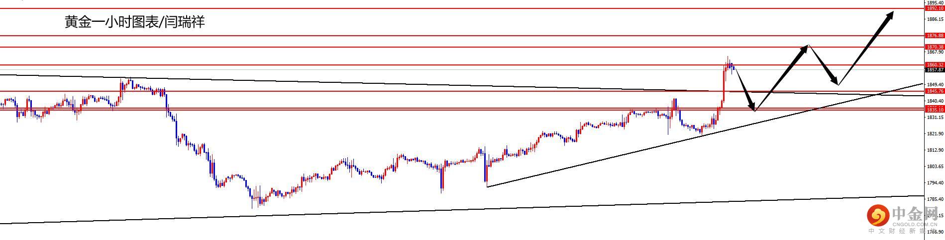 1644801174421622.jpg 黄金.jpg