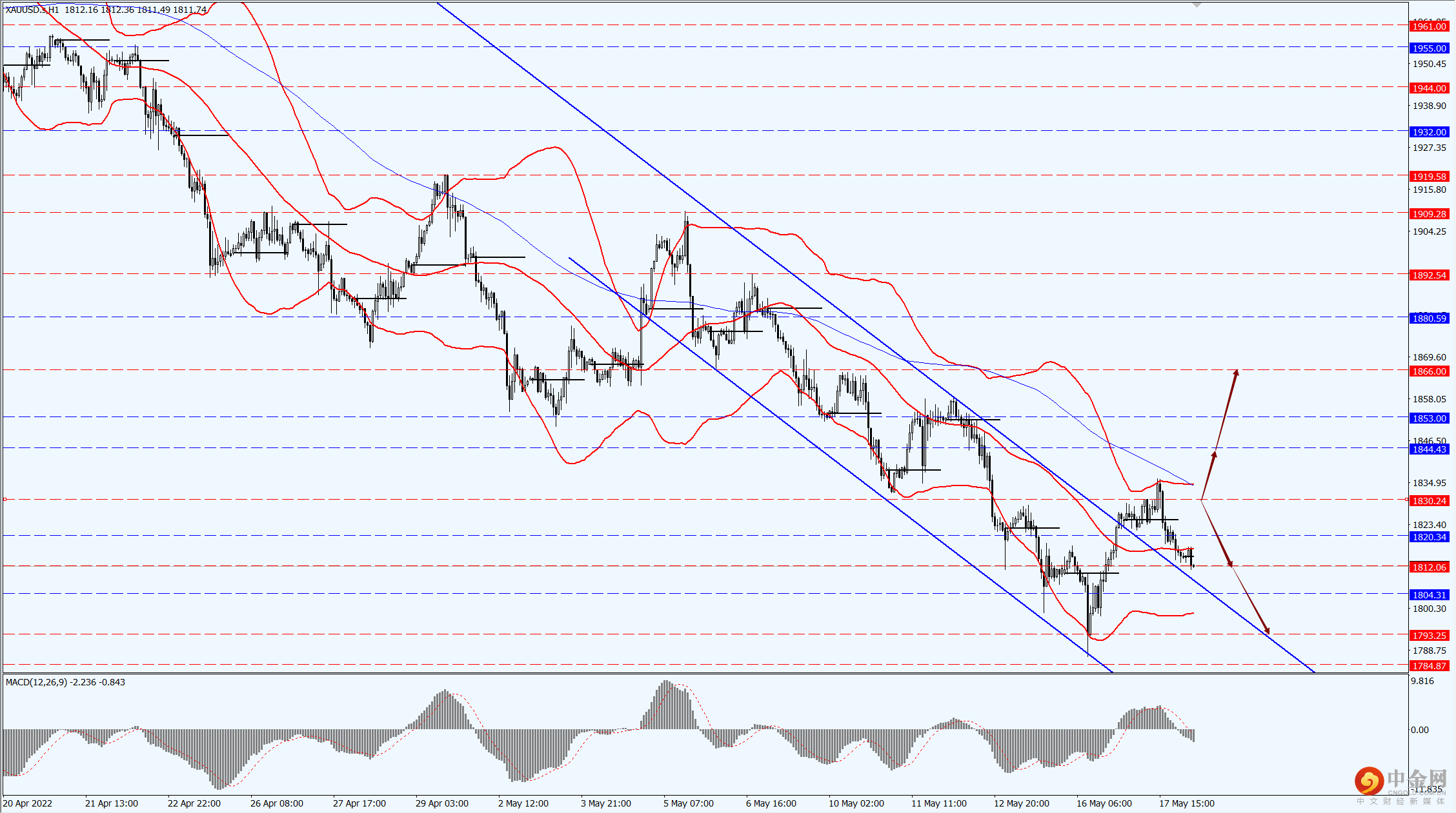 3_每日汇评.png 3_每日汇评.png