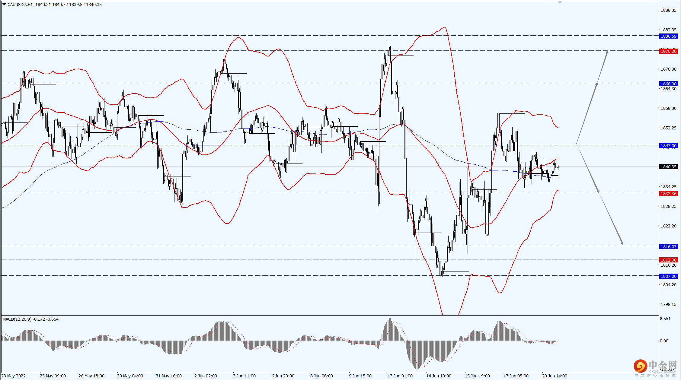 3_每日汇评.png 3_每日汇评.png