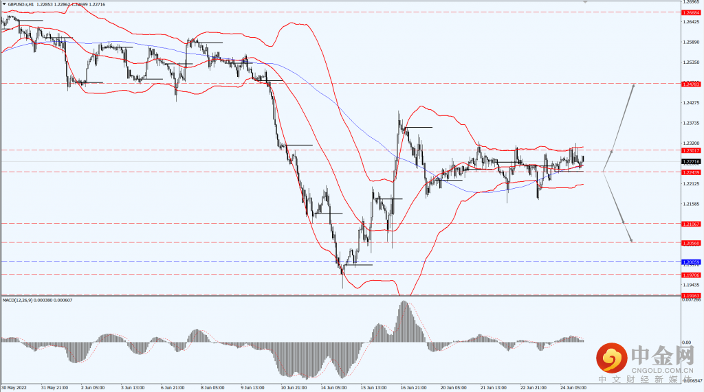 2_每日汇评.png 2_每日汇评.png